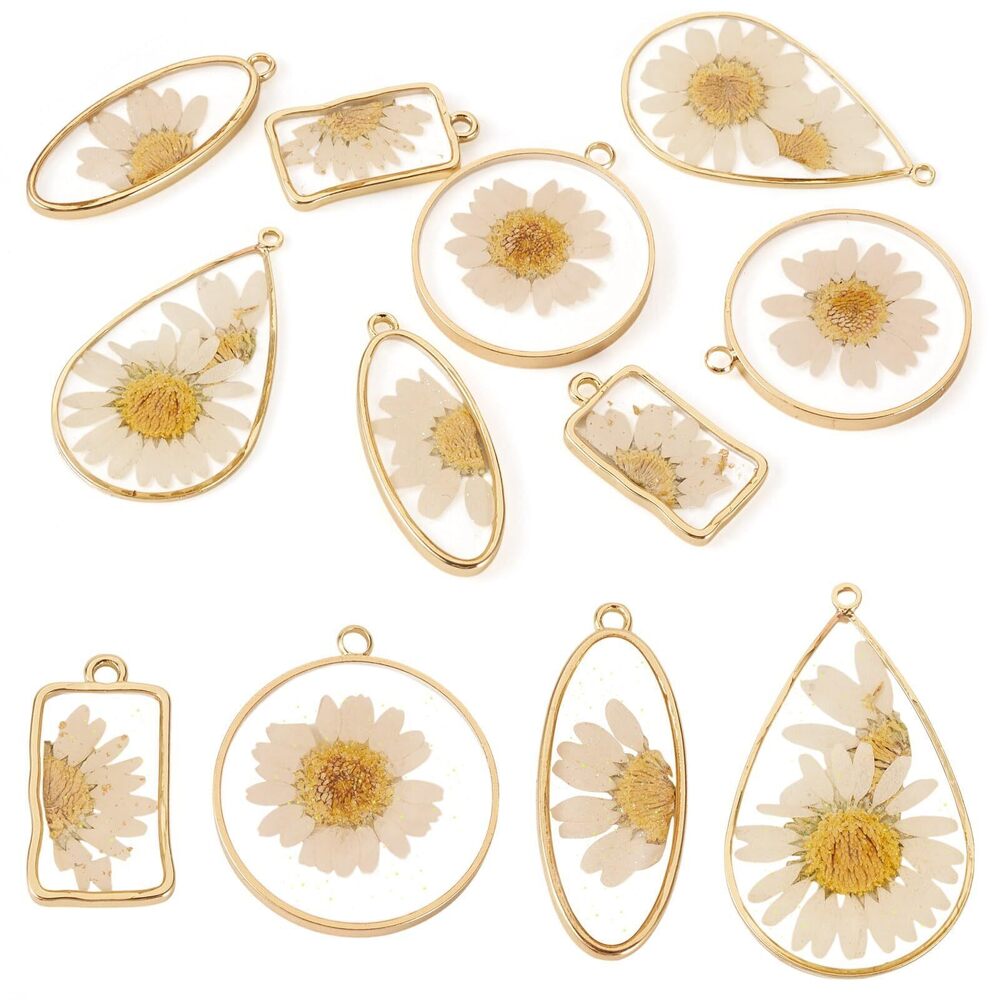 5300 8Pcs Natural Dried Flower Charms Oval Teardrop Rectangle Flat Round